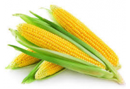 Біг Стар - кукурудза, 80 000 насінь, Євраліс фото, цiна